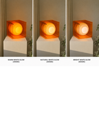 Echo Lop Lamp